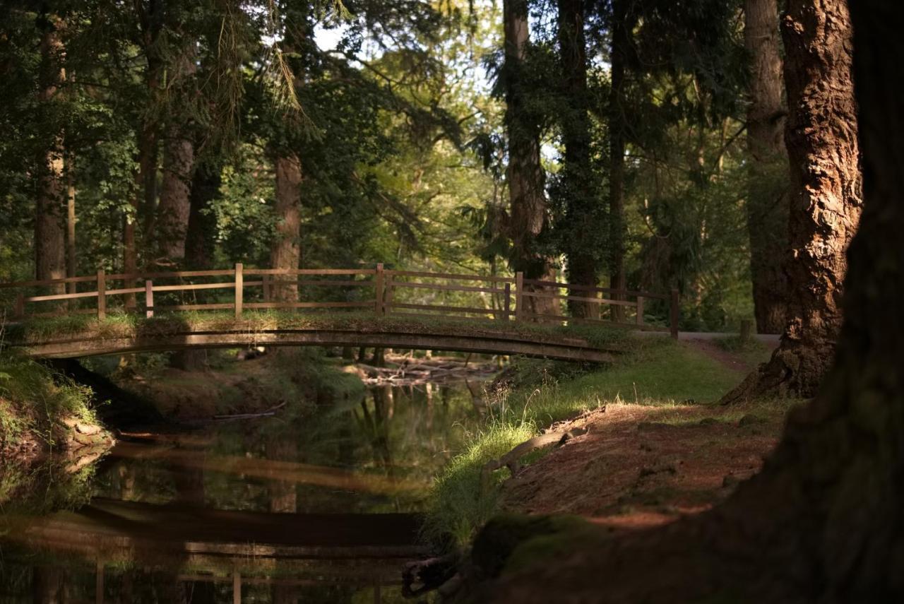 The Cloud Brockenhurst Exterior foto
